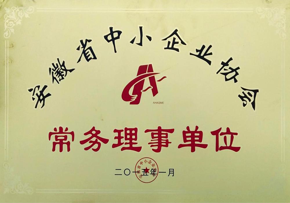 安徽省中小企業(yè)協(xié)會常務(wù)理事單位